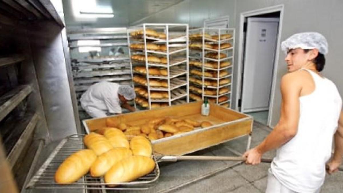 panificatie_95334600