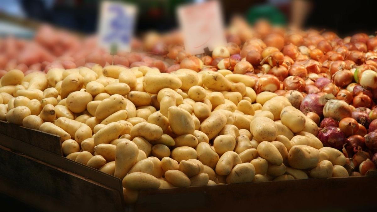 cartofiprc-c8prc-9b_83505800