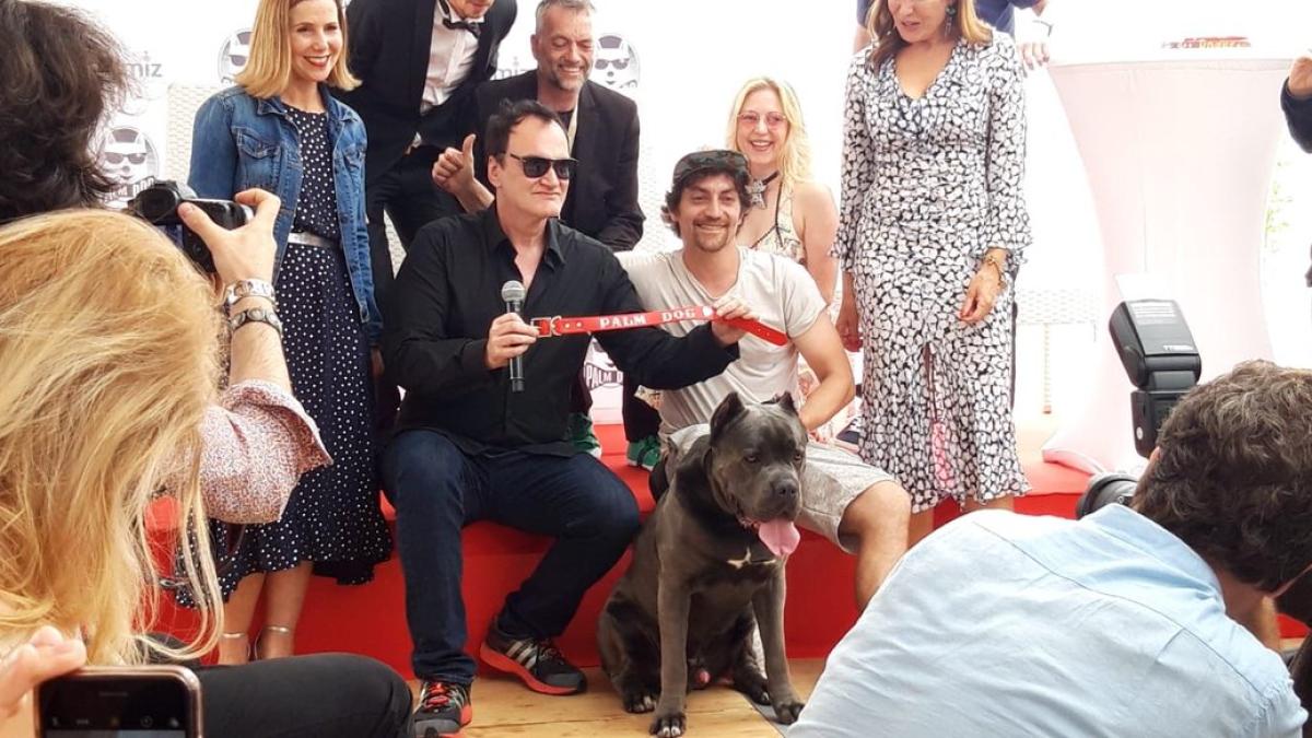 d7vdwl1w4aay74g_67768200