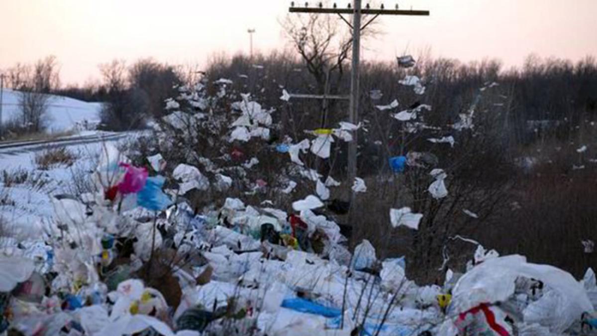 pungi_de_plastic_29369300