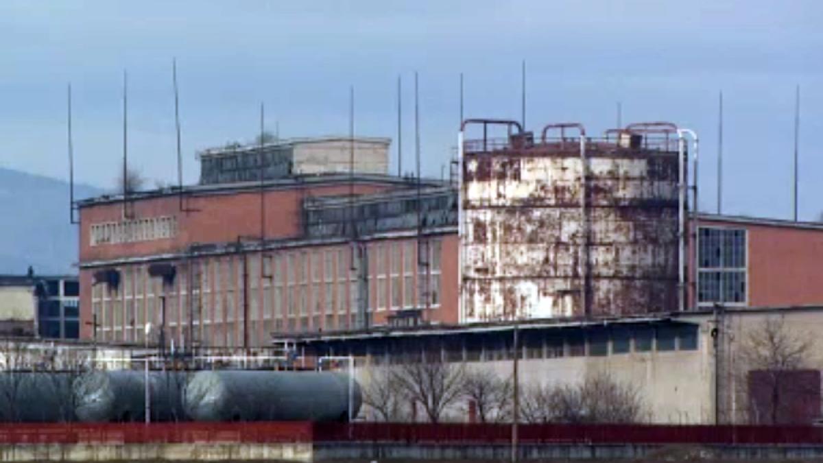 azochim_savinesti_24401700