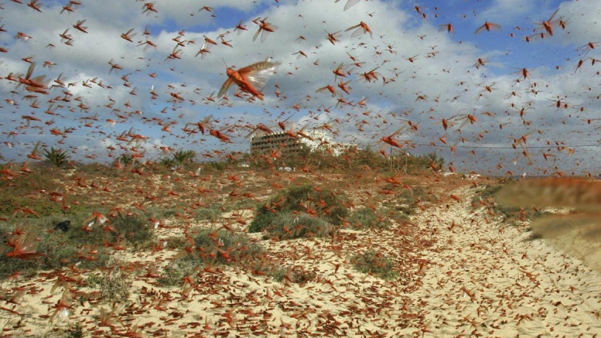 d8wqj4fxsaeckkh_43063000