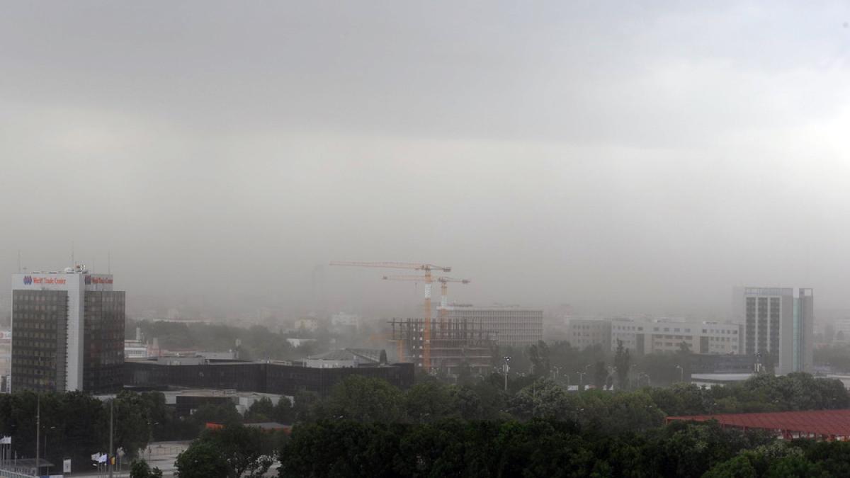 20110609113026006_resize_61663100