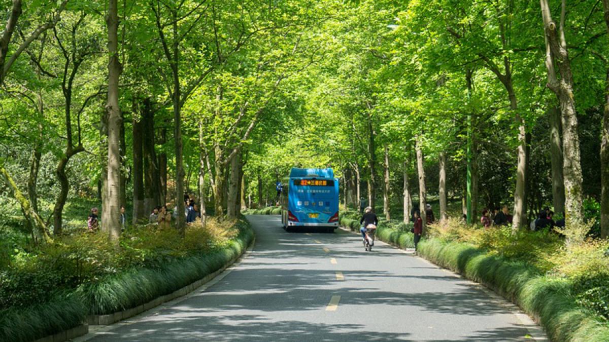 wood_3309345_1280_28309900