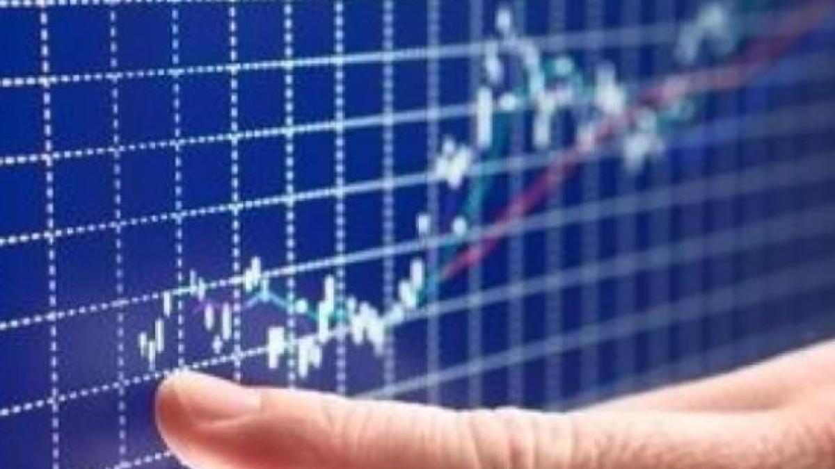 bursa_evolutie_79342700