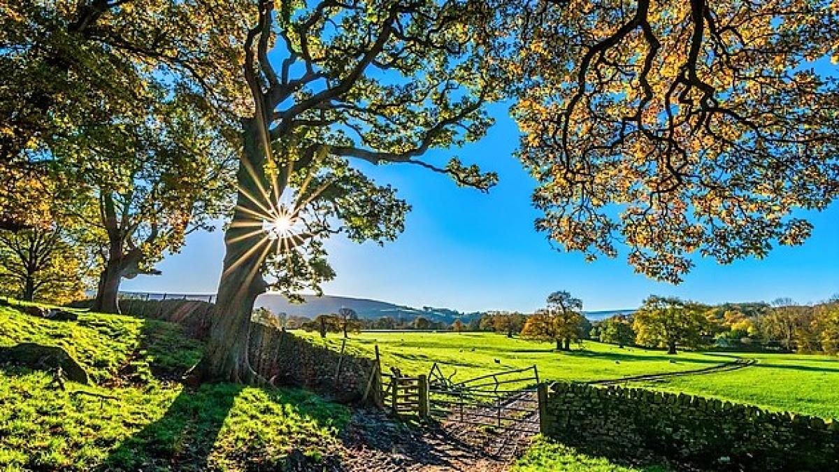 agricultura1_91949200