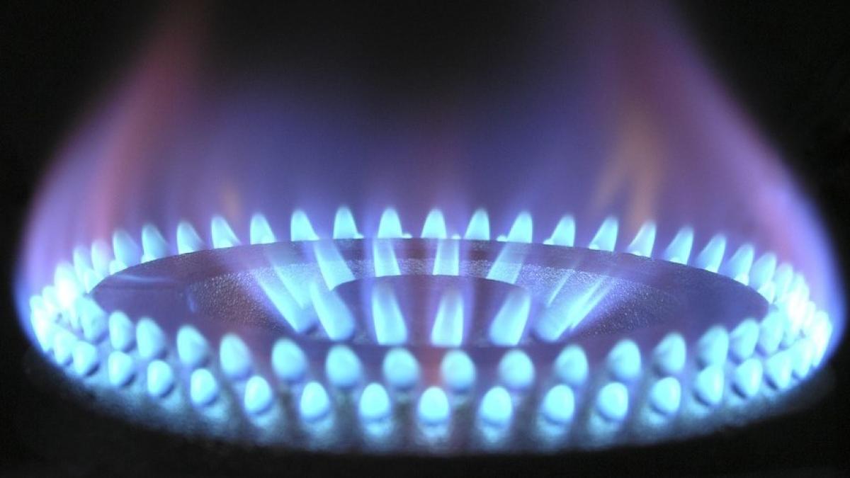 gaze_naturale2_48943400