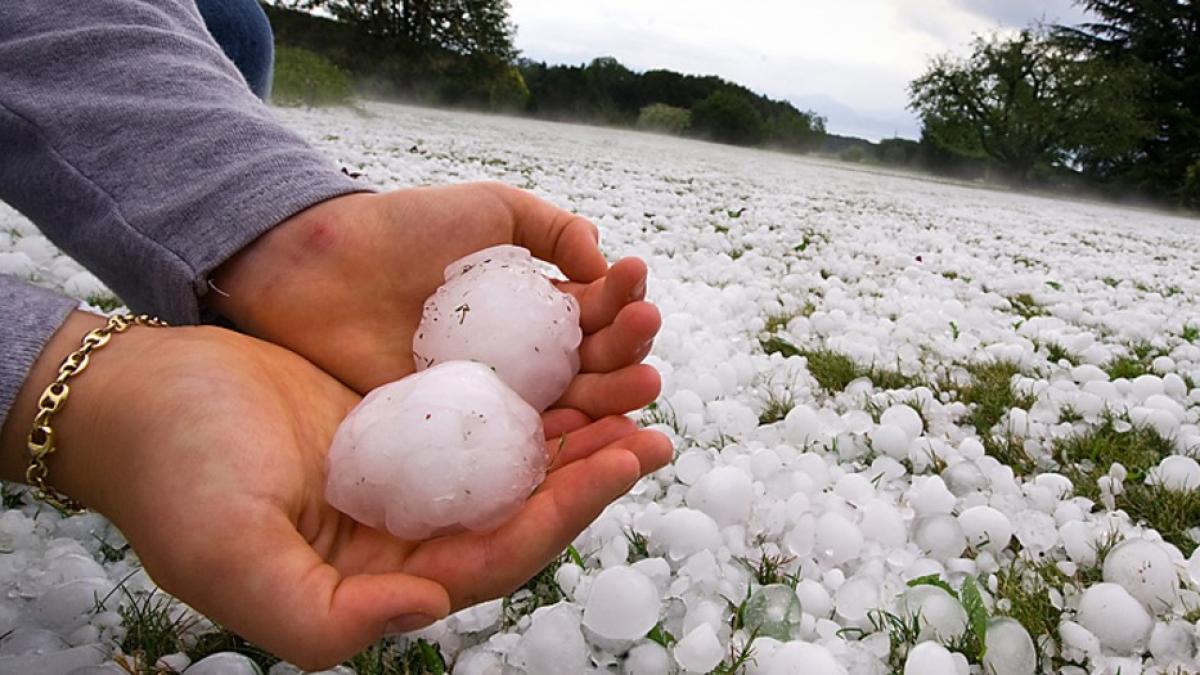 Grindină cât portocala. A fost prăpăd!