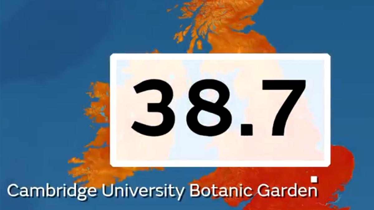 cambridge_university_13731400