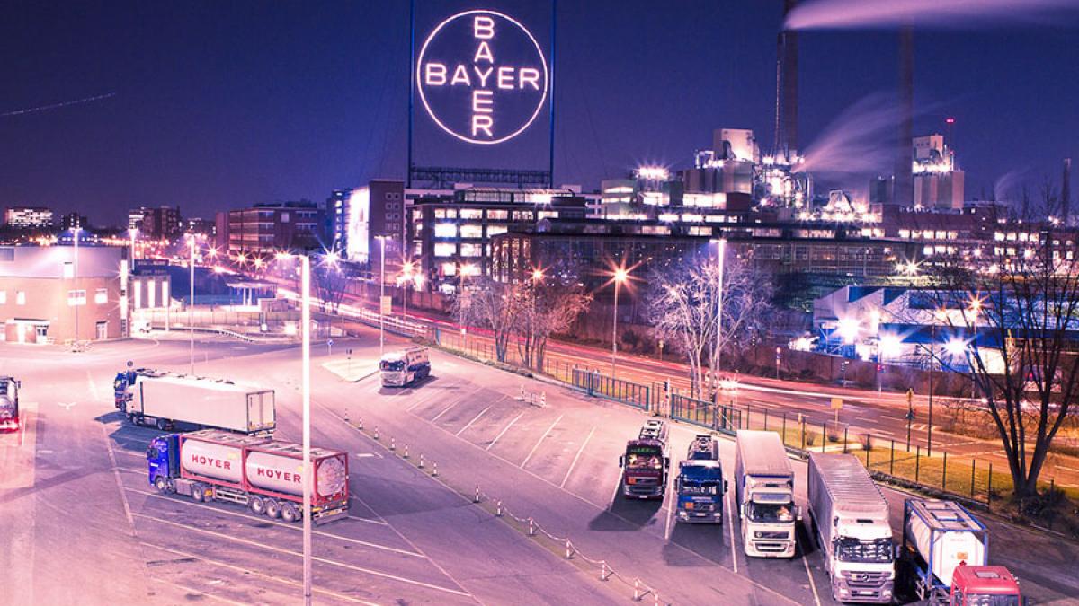 bayer_33358600