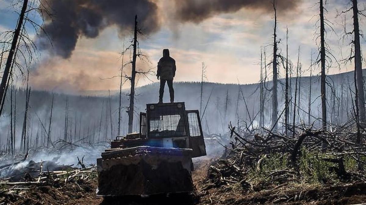 Arde Siberia! Trump sare în ajutorul lui Putin (FOTO, VIDEO)