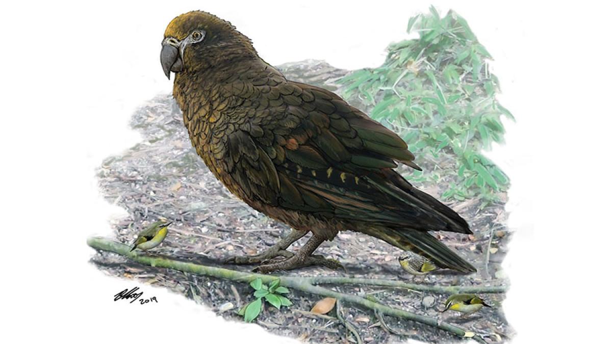 0norway_1758183_95951300