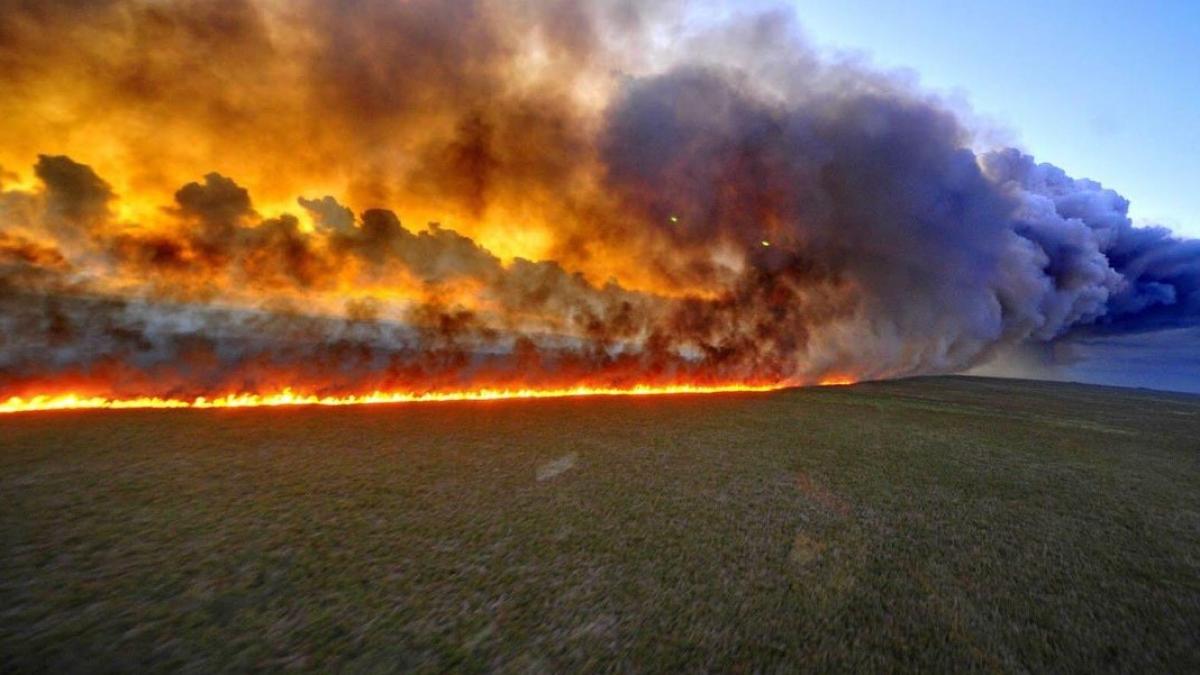 incediu_padure_80334100