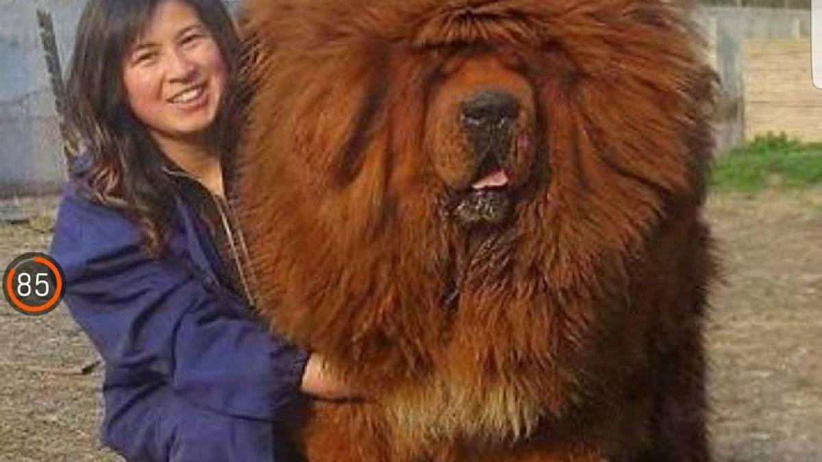 19884522_882908615191257_6580369554245110304_n_65378800