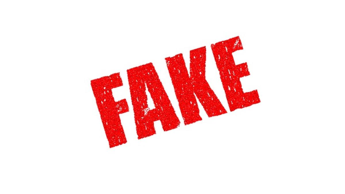 fake_1726362_960_720_62209400