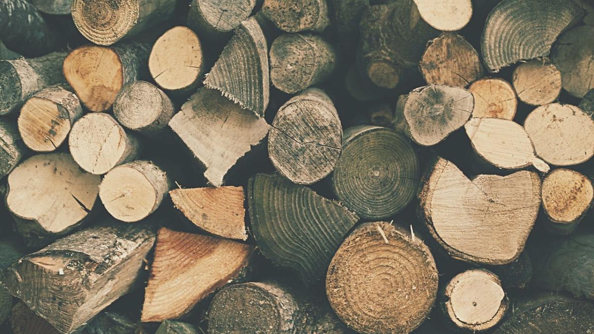 lemne_de_foc_32904700