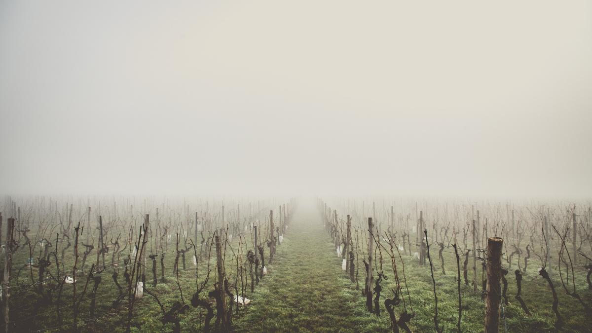 country_1209094_1920_25547600