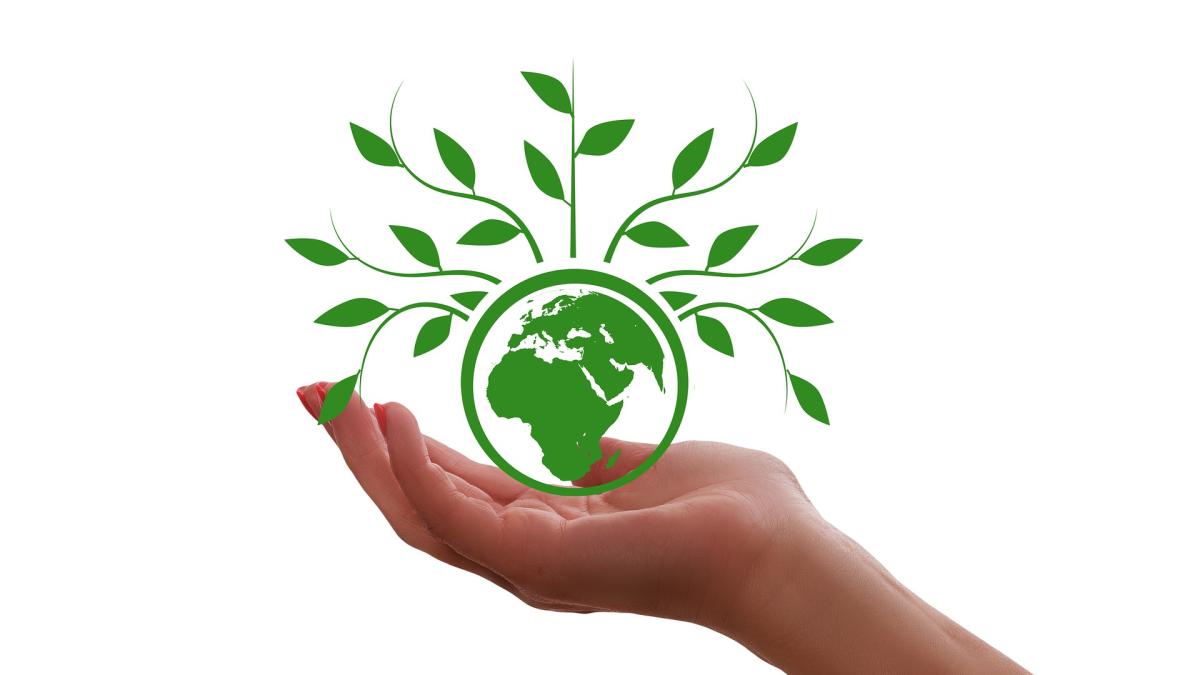 hand_4455338_1920_93735600