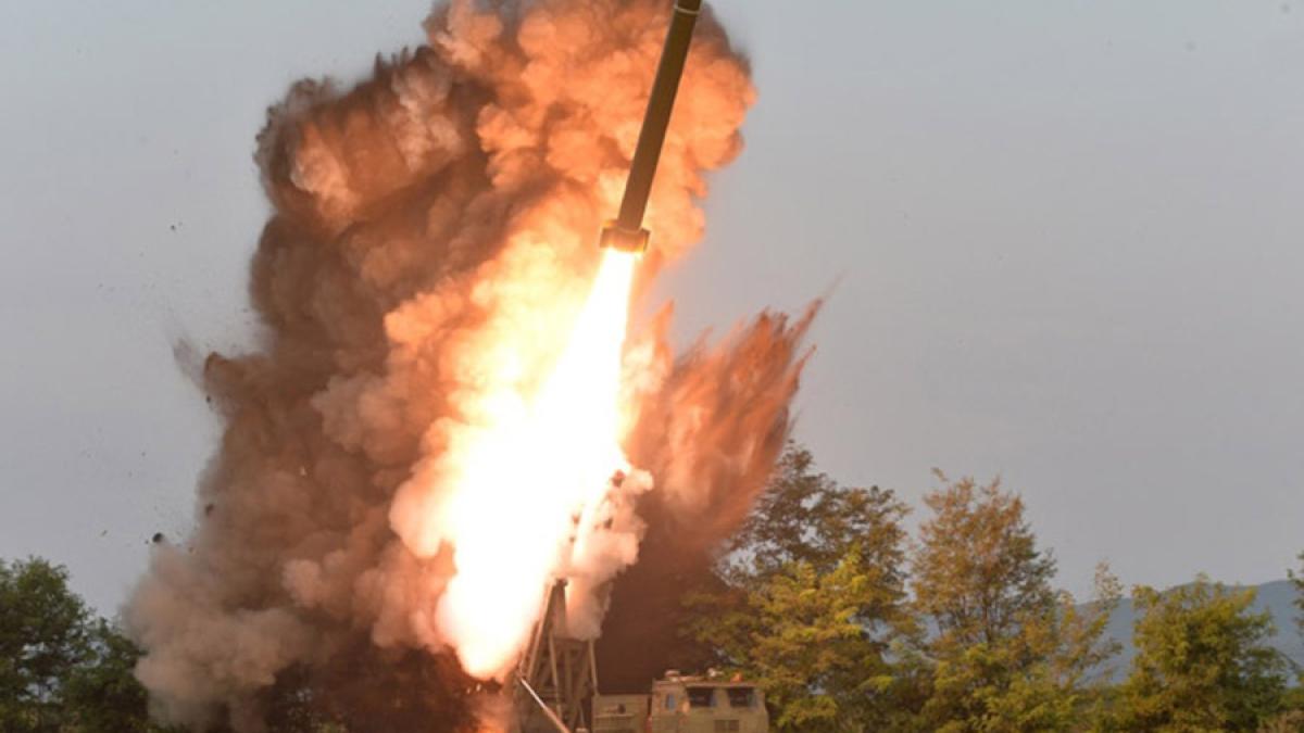 whatsapp_image_2019_10_03_at_11_02_38_41394300