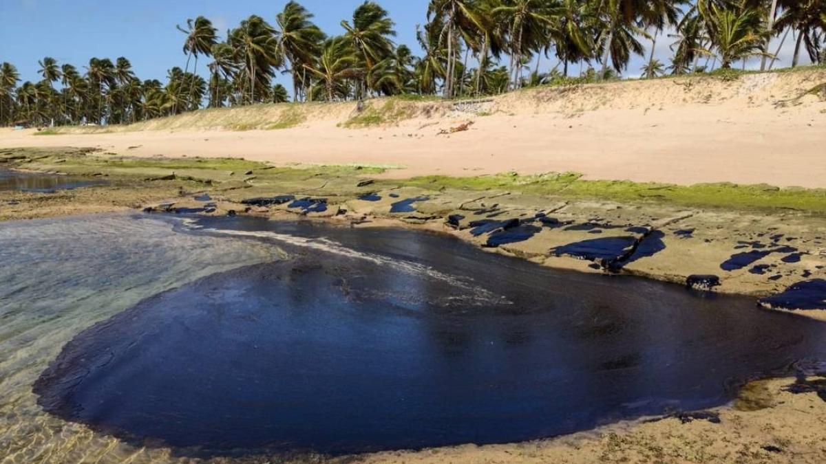 pata_de_petrol_13212200