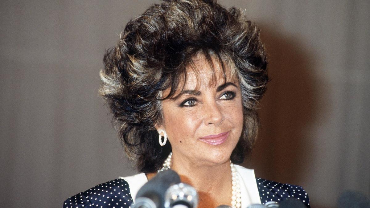 elizabeth_taylor___aids_activist_28995300