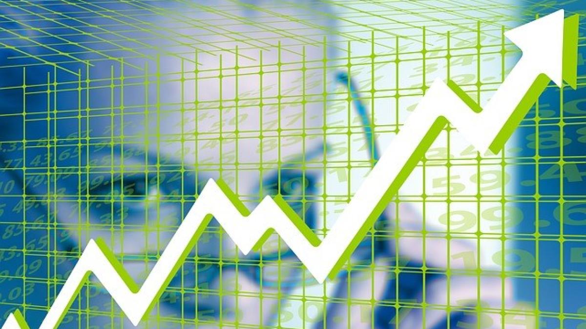 bursa_verde_53508000