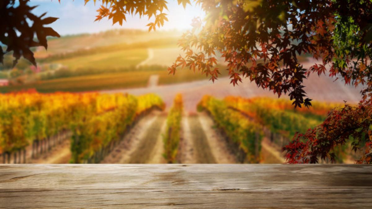 wood_table_background_autumn_vineyard_country_landscape_31965_1368_26509000