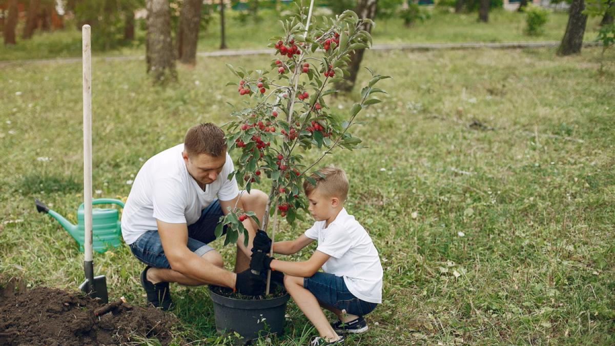 ferme_de_familie_67436200