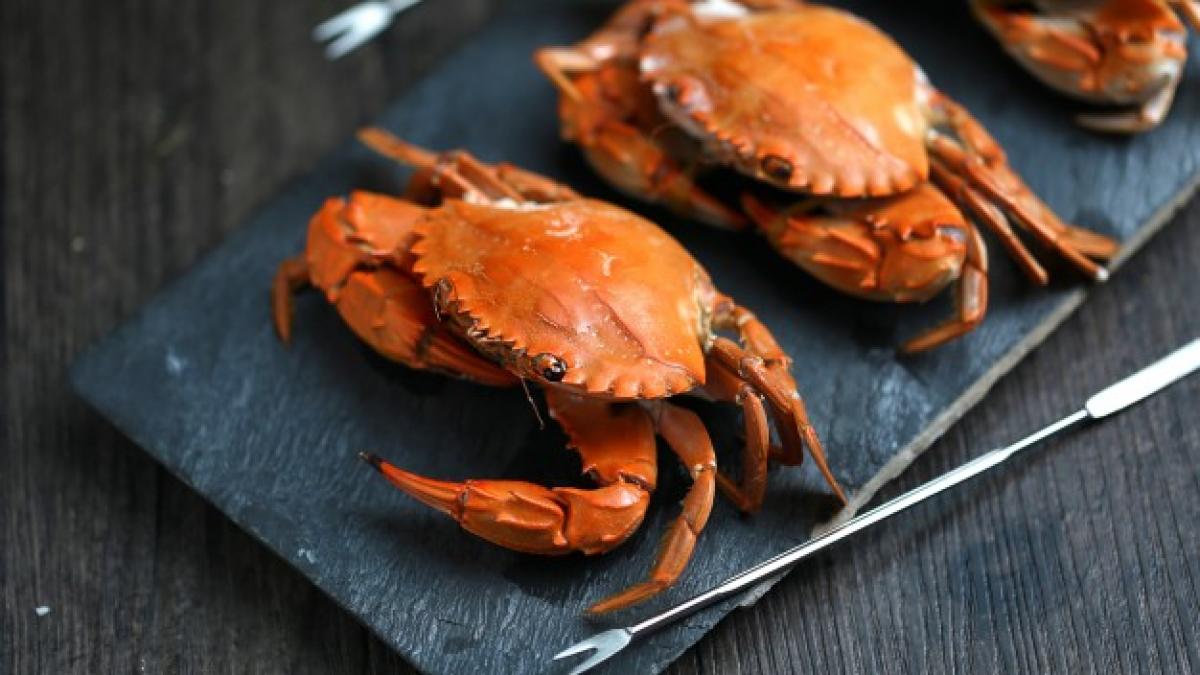 steamed_crabs_1387_222_79718200