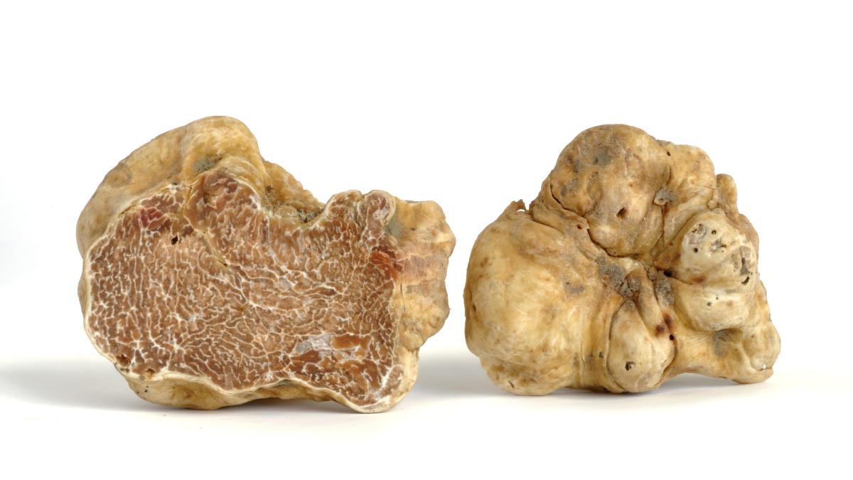 white_truffle_evoo_00510300
