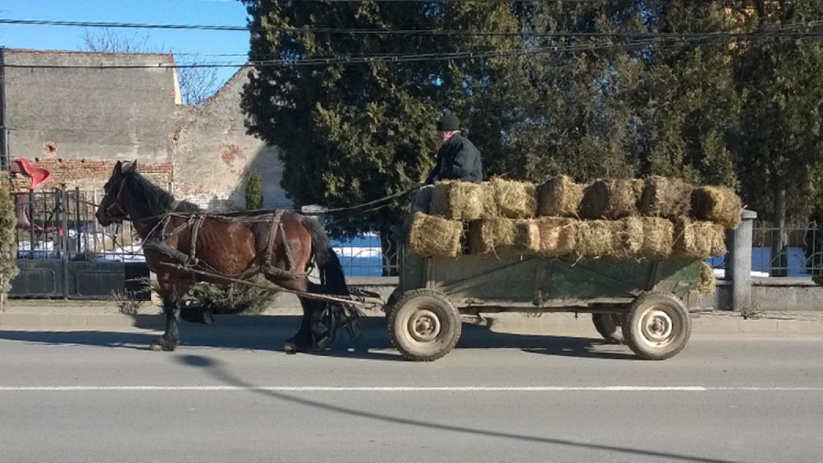 europe_2251996_1920_10384500