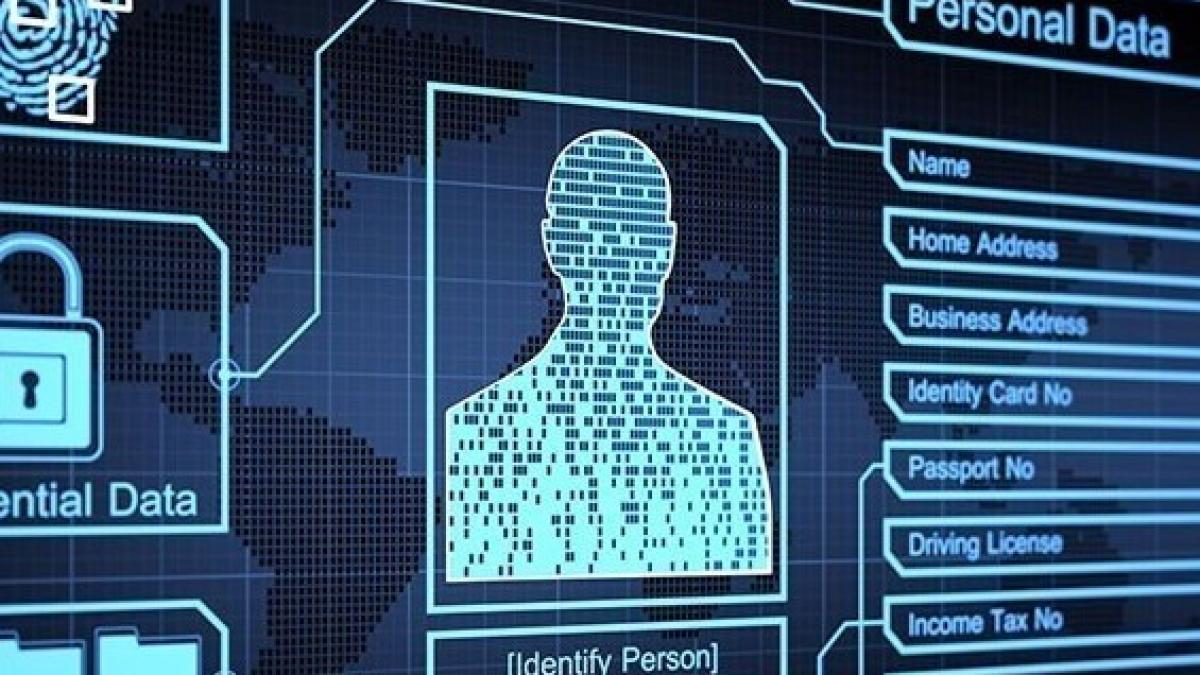 date_personale_54431300