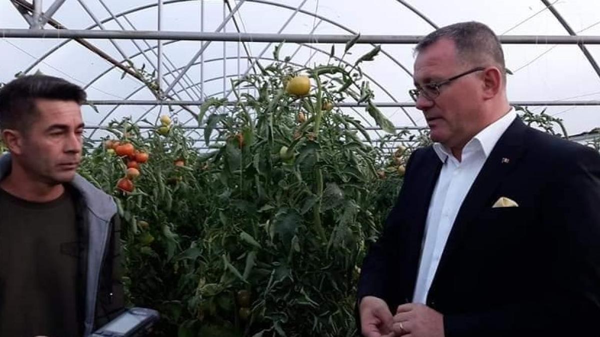 adrian_oros_37205200