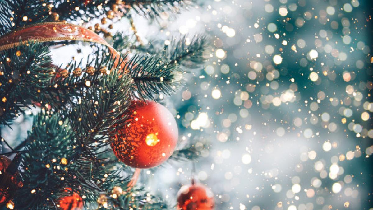 christmas_tree_with_red_ball_ornament_decoration_sparkle_light_1484_2237_85982000