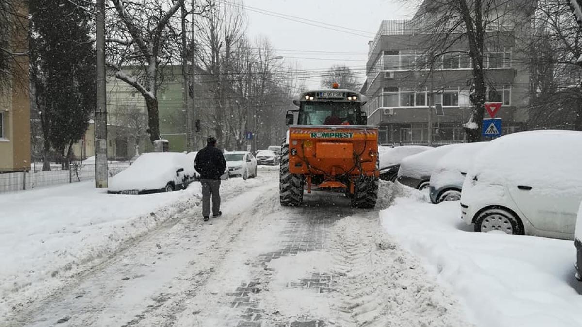 deszapezire_63623600