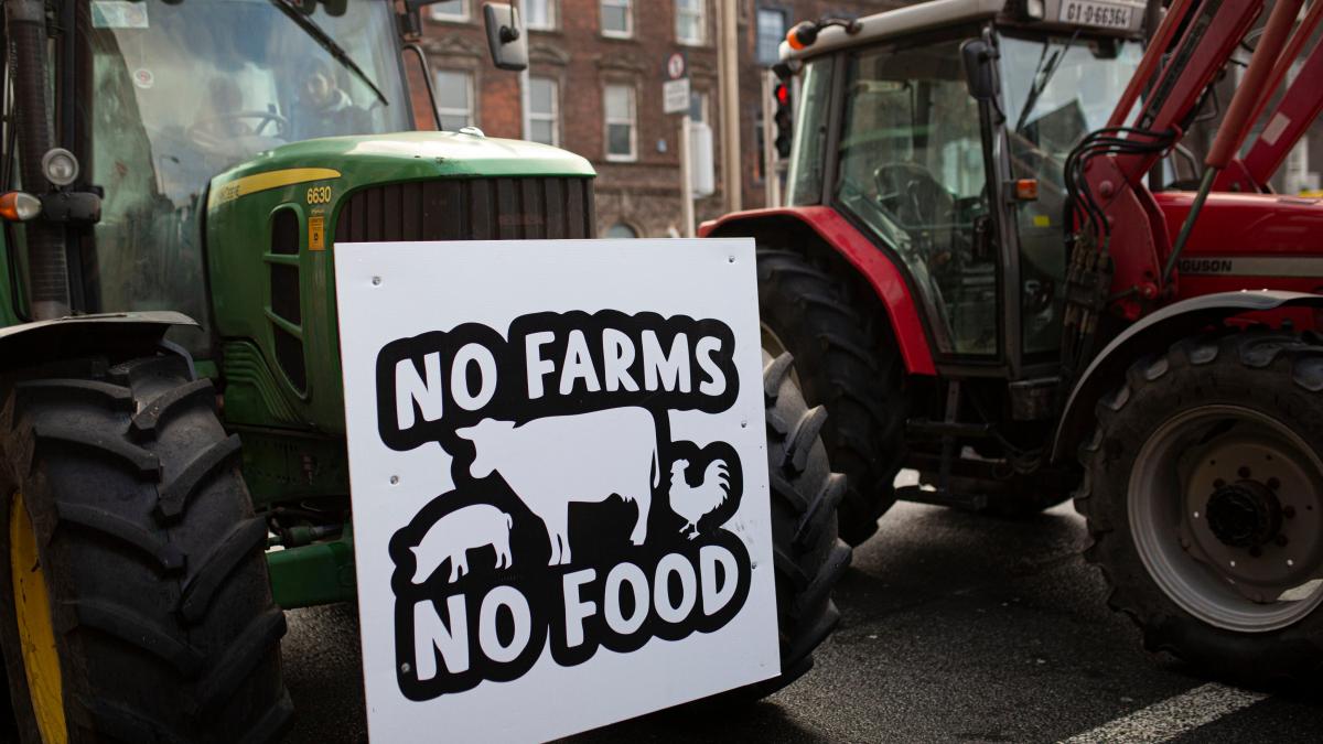 ekyugh6woaiqqjd_65061400