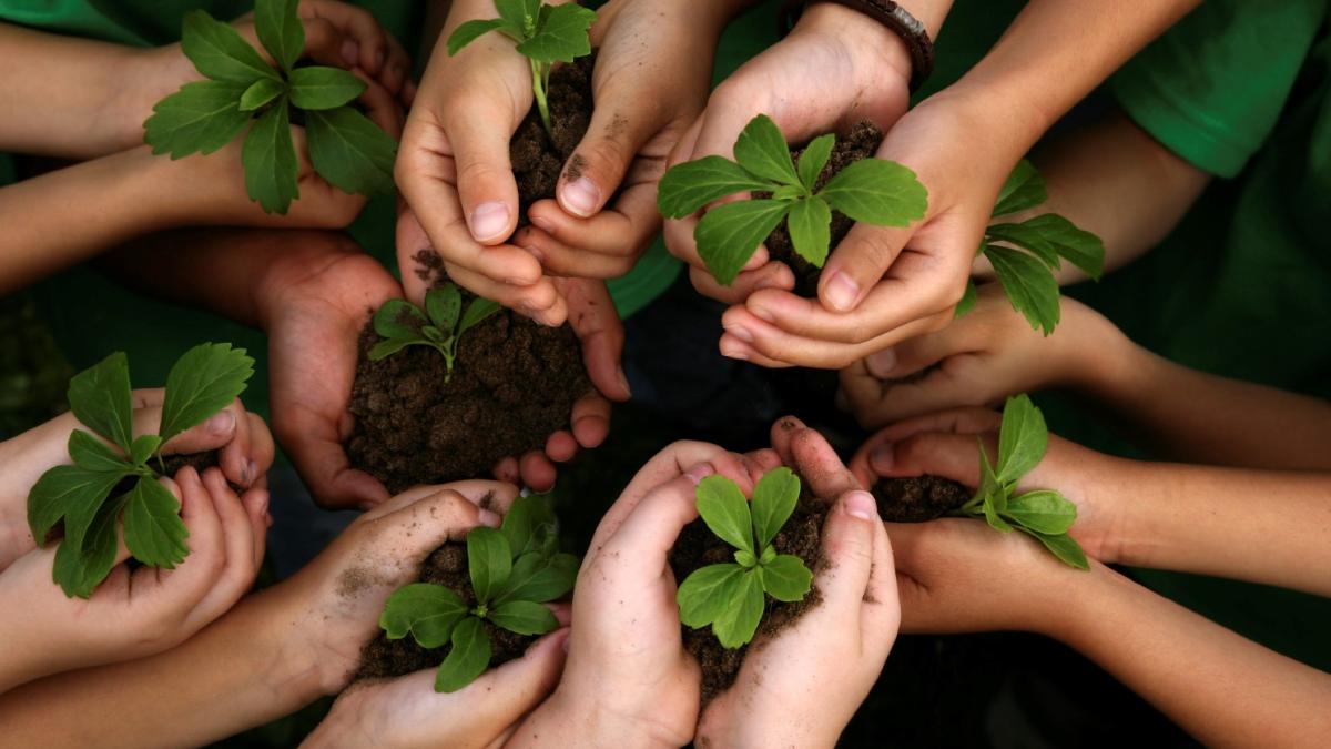 salvati_planeta_65818400