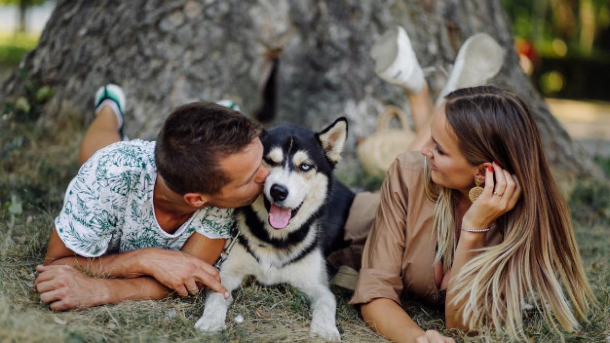 young_couple_husky_1328_2400_25358700