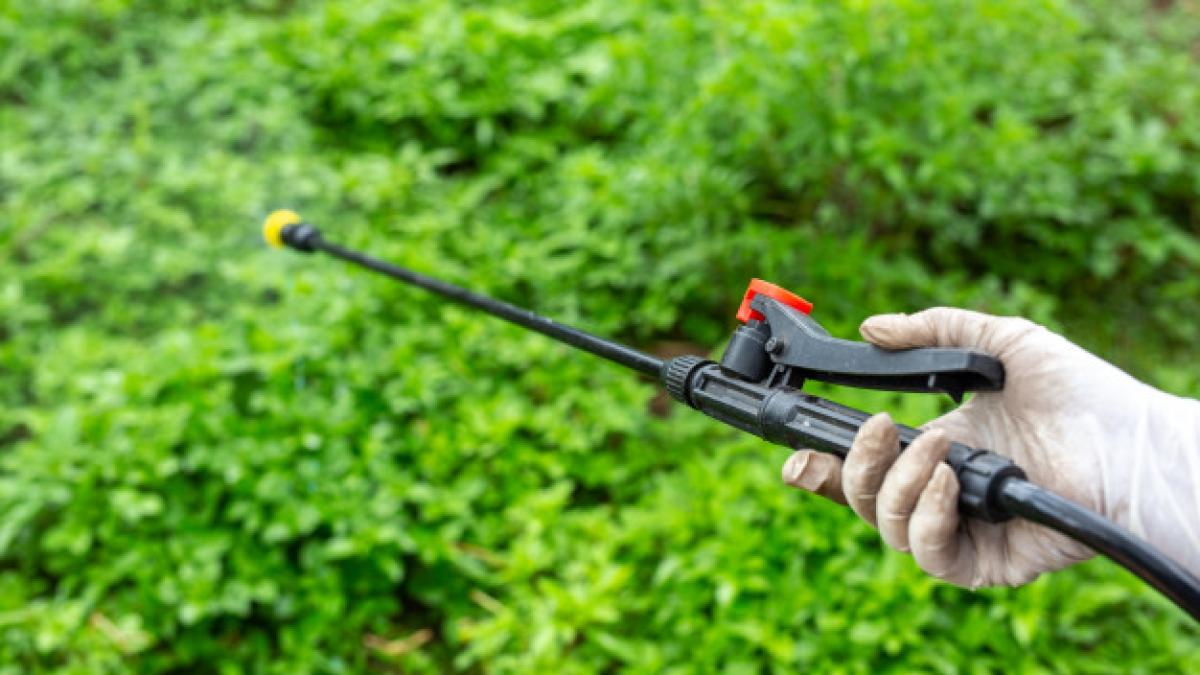 gardeners_are_spraying_1150_15113_14178100