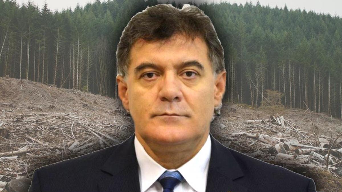 ovidiu_badea_43302600