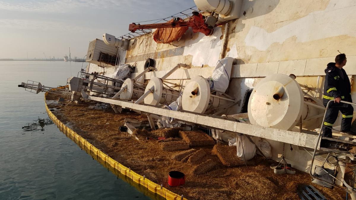 portul_midia_58024000