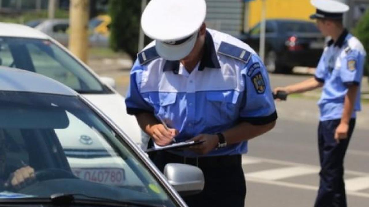 amenda_rutiera_03719100