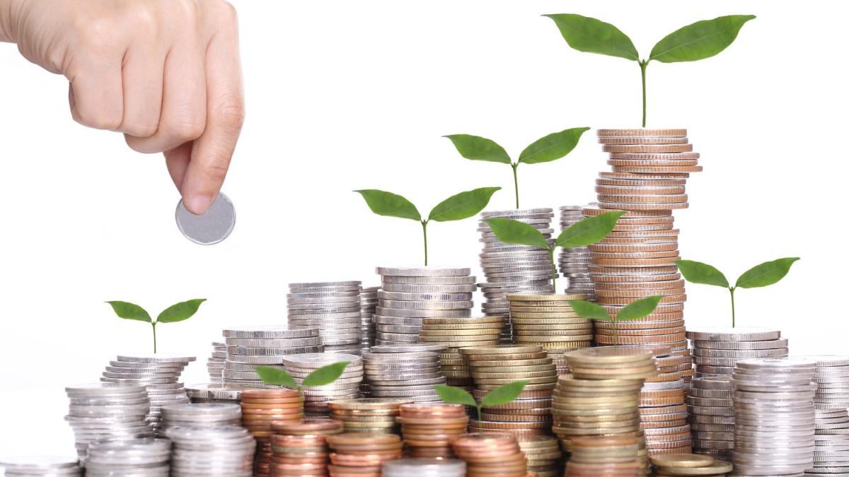 investitii1_11340100