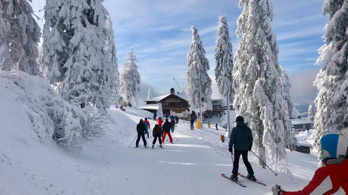 schi_in_poiana_49000700