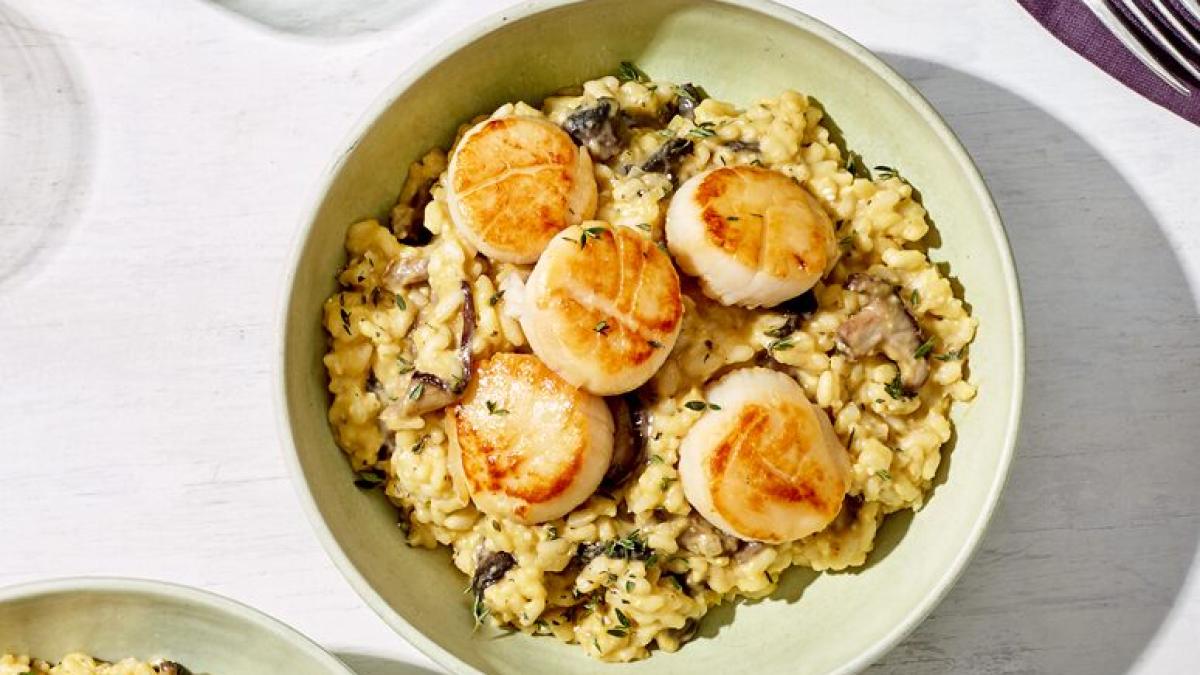 hmr_pid_1020000_z_13005700