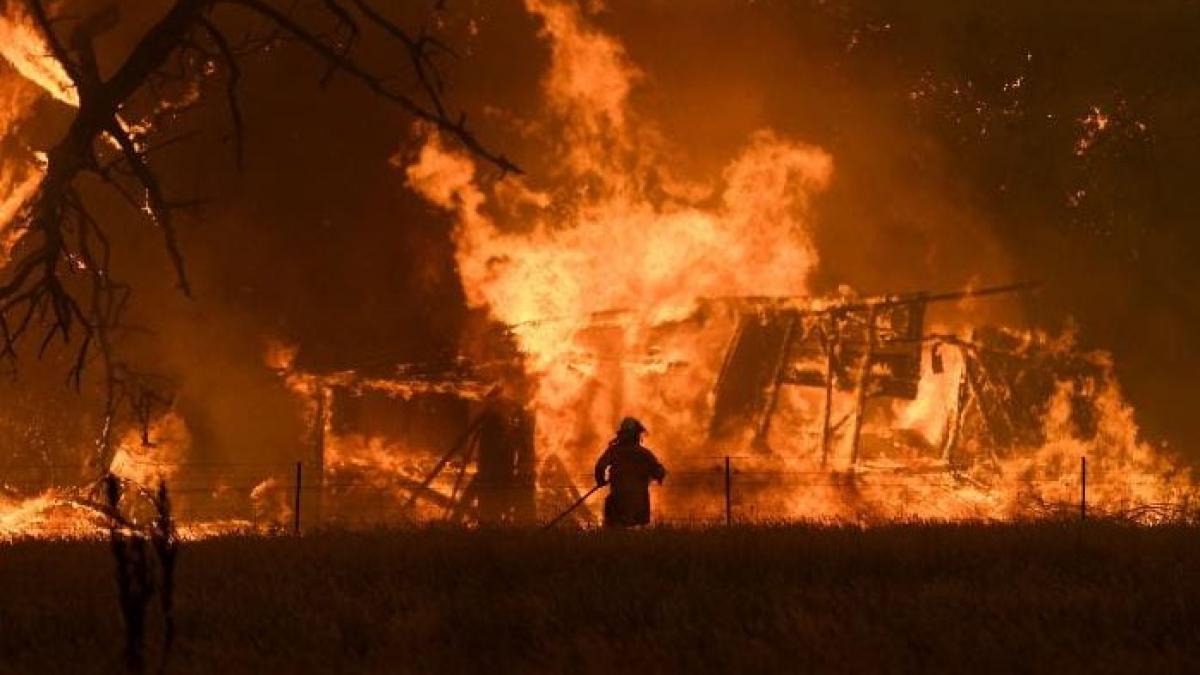 Incendiile din Australia au scăpat de sub control. 23 de morți VIDEO