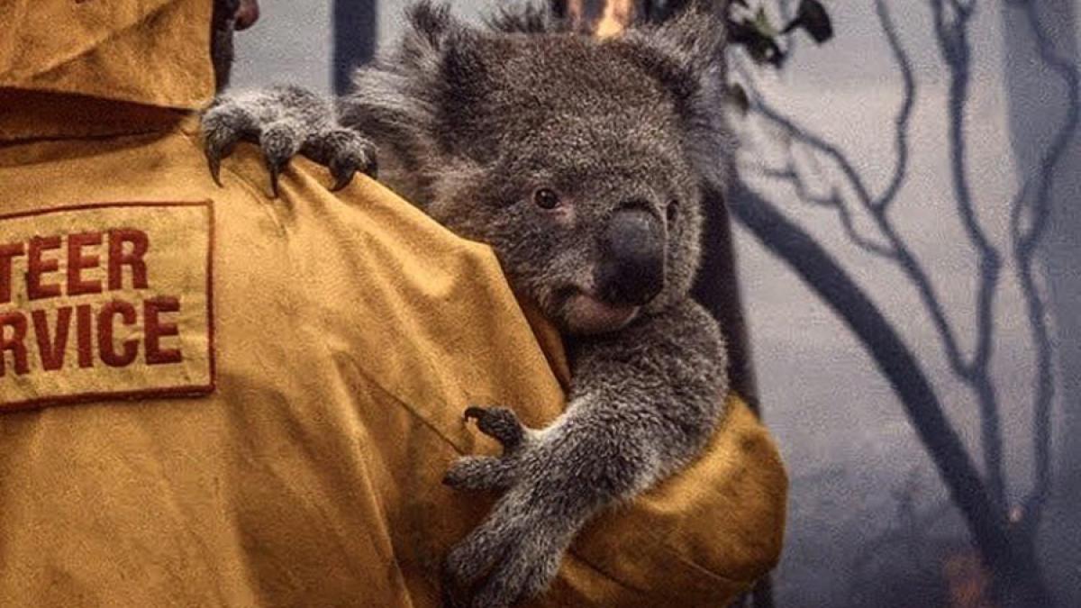 australia_3_64786900