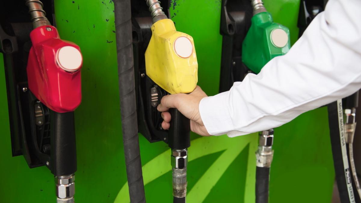 14576_resize_41085400