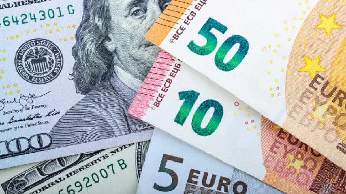 euro_bills_different_denominations_gray_76263_895_02063900