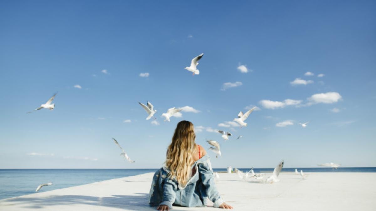 girl_sits_berth_watch_seagulls_8353_9447_63706800